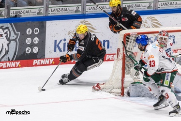 Löwen Frankfurt - Augsburger Panther - 17.12.23 - 115