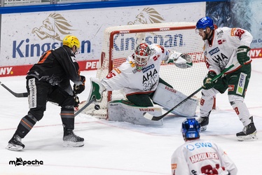 Löwen Frankfurt - Augsburger Panther - 17.12.23 - 116