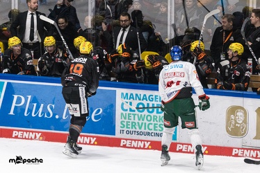 Löwen Frankfurt - Augsburger Panther - 17.12.23 - 119