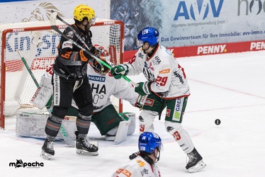 Löwen Frankfurt - Augsburger Panther - 17.12.23 - 120