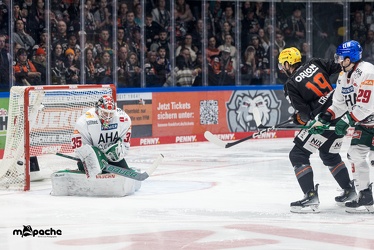Löwen Frankfurt - Augsburger Panther - 17.12.23 - 123