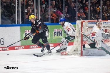 Löwen Frankfurt - Augsburger Panther - 17.12.23 - 124