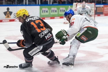 Löwen Frankfurt - Augsburger Panther - 17.12.23 - 126