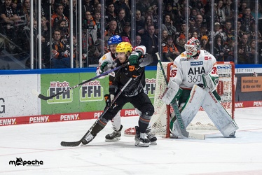 Löwen Frankfurt - Augsburger Panther - 17.12.23 - 127