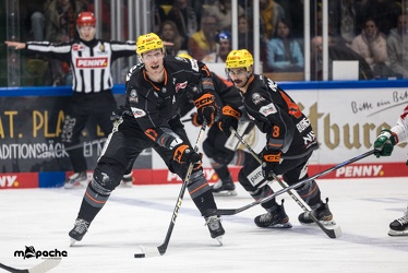 Löwen Frankfurt - Augsburger Panther - 17.12.23 - 128