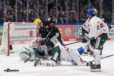 Löwen Frankfurt - Augsburger Panther - 17.12.23 - 129