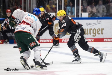 Löwen Frankfurt - Augsburger Panther - 17.12.23 - 131