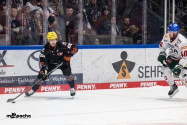 Löwen Frankfurt - Augsburger Panther - 17.12.23 - 135