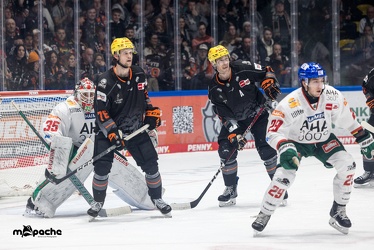 Löwen Frankfurt - Augsburger Panther - 17.12.23 - 139