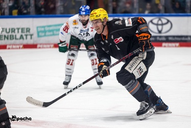 Löwen Frankfurt - Augsburger Panther - 17.12.23 - 146