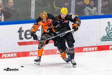 Löwen Frankfurt - Grizzlys Wolfsburg - 3.1.24 - 055
