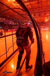 Löwen Frankfurt - Fishtown Pinguins - 5.1.24 - 031