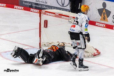 Löwen Frankfurt - Fishtown Pinguins - 5.1.24 - 060