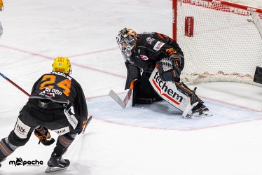 Löwen Frankfurt - Fishtown Pinguins - 5.1.24 - 080