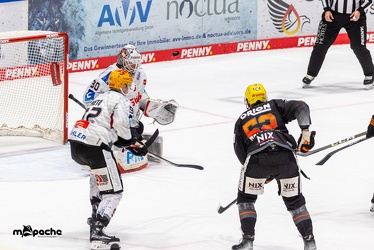 Löwen Frankfurt - Fishtown Pinguins - 5.1.24 - 081