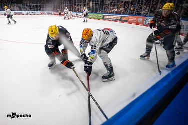 Löwen Frankfurt - Fishtown Pinguins - 5.1.24 - 122