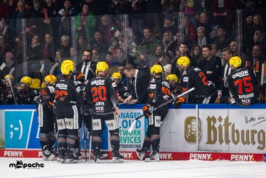 Löwen Frankfurt - Fishtown Pinguins - 5.1.24 - 123