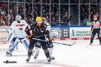 Löwen Frankfurt - ERC Ingolstadt - 11.1.24 - 137