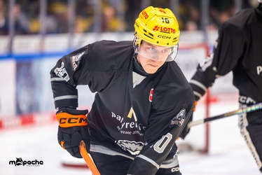 Löwen Frankfurt - Straubing Tigers- 19.1.24 - 006
