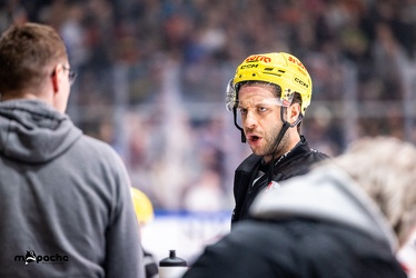Löwen Frankfurt - Straubing Tigers- 19.1.24 - 013