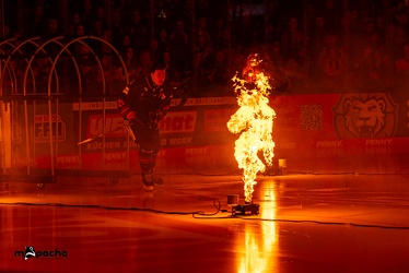 Löwen Frankfurt - Straubing Tigers- 19.1.24 - 028
