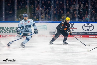 Löwen Frankfurt - Straubing Tigers- 19.1.24 - 033