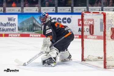 Löwen Frankfurt - Straubing Tigers- 19.1.24 - 034