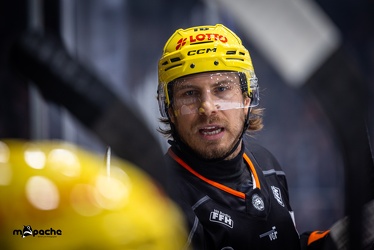 Löwen Frankfurt - Straubing Tigers- 19.1.24 - 040