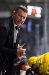 Löwen Frankfurt - Straubing Tigers- 19.1.24 - 042