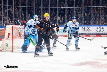 Löwen Frankfurt - Straubing Tigers- 19.1.24 - 045