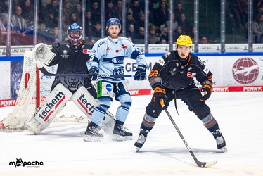 Löwen Frankfurt - Straubing Tigers- 19.1.24 - 047