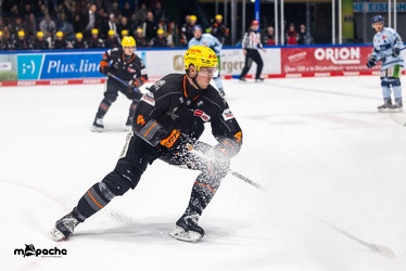 Löwen Frankfurt - Straubing Tigers- 19.1.24 - 048