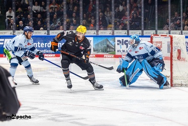 Löwen Frankfurt - Straubing Tigers- 19.1.24 - 053