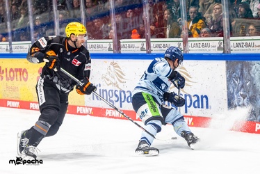 Löwen Frankfurt - Straubing Tigers- 19.1.24 - 057