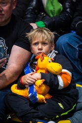 Löwen Frankfurt - Straubing Tigers- 19.1.24 - 060