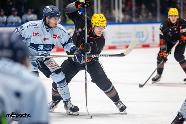 Löwen Frankfurt - Straubing Tigers- 19.1.24 - 068