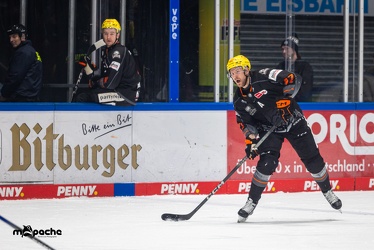 Löwen Frankfurt - Straubing Tigers- 19.1.24 - 074