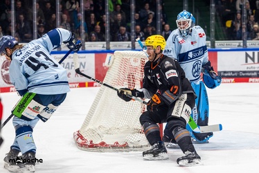 Löwen Frankfurt - Straubing Tigers- 19.1.24 - 075