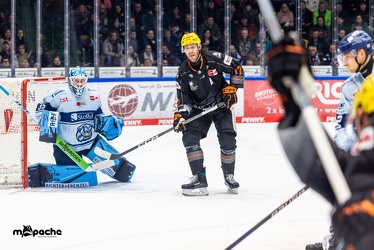 Löwen Frankfurt - Straubing Tigers- 19.1.24 - 076