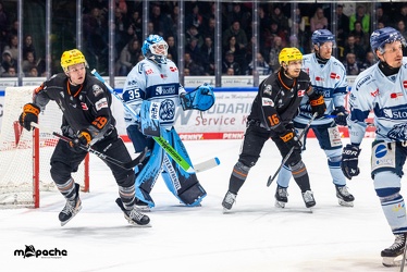 Löwen Frankfurt - Straubing Tigers- 19.1.24 - 077