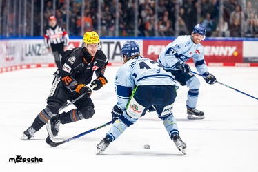 Löwen Frankfurt - Straubing Tigers- 19.1.24 - 080