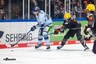 Löwen Frankfurt - Straubing Tigers- 19.1.24 - 085