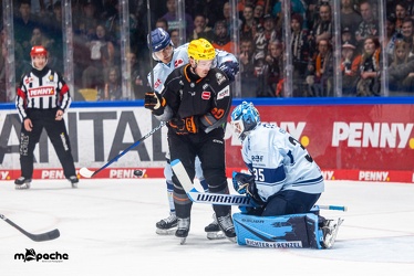 Löwen Frankfurt - Straubing Tigers- 19.1.24 - 088