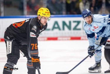 Löwen Frankfurt - Straubing Tigers- 19.1.24 - 090