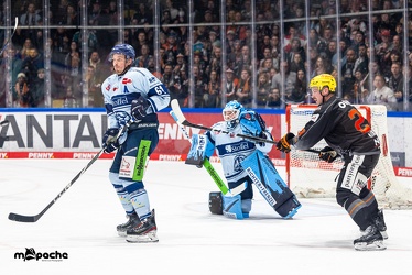 Löwen Frankfurt - Straubing Tigers- 19.1.24 - 098