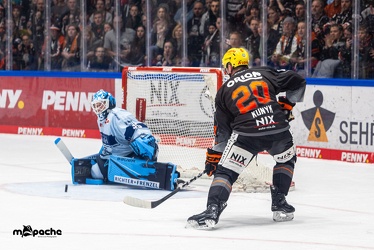 Löwen Frankfurt - Straubing Tigers- 19.1.24 - 100