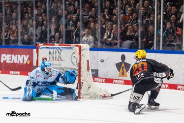 Löwen Frankfurt - Straubing Tigers- 19.1.24 - 101