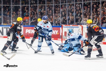 Löwen Frankfurt - Straubing Tigers- 19.1.24 - 103
