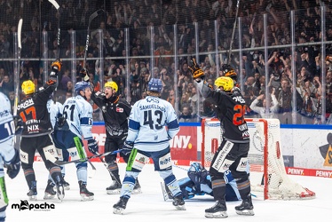 Löwen Frankfurt - Straubing Tigers- 19.1.24 - 105