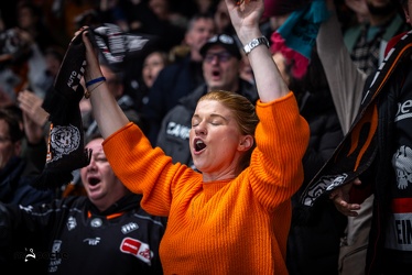 Löwen Frankfurt - Straubing Tigers- 19.1.24 - 109